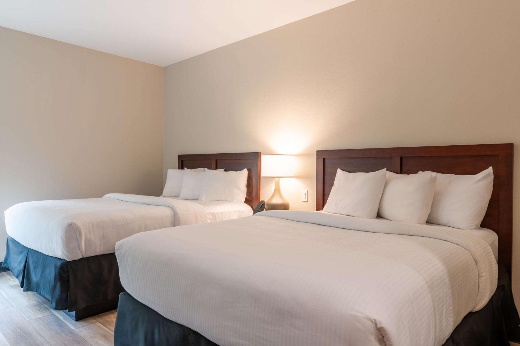 The Chandler At White Mountains, An Ascend Hotel Collection Membe Bethlehem Zewnętrze zdjęcie